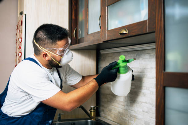 Best Best Pest Control Companies  in Monticello, WI