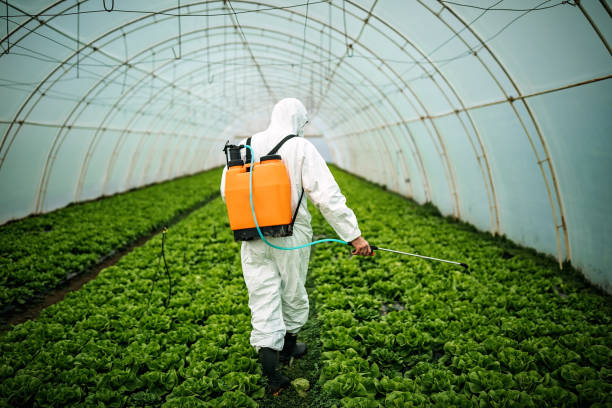 Best Best Pest Control Companies  in Monticello, WI
