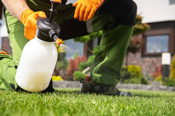 Best Emergency Pest Control  in Monticello, WI