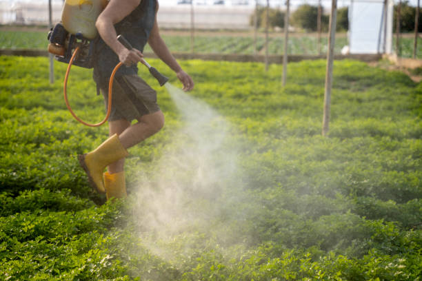 Best Pest Control Near Me  in Monticello, WI