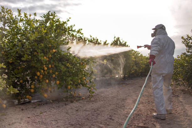Best Wasp Removal Services  in Monticello, WI