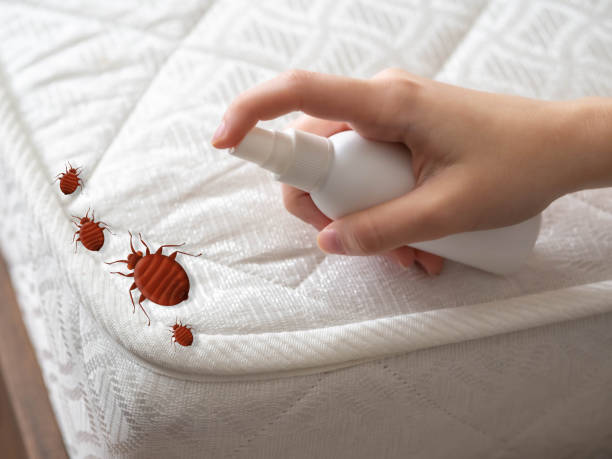 Best Local Pest Control Services  in Monticello, WI